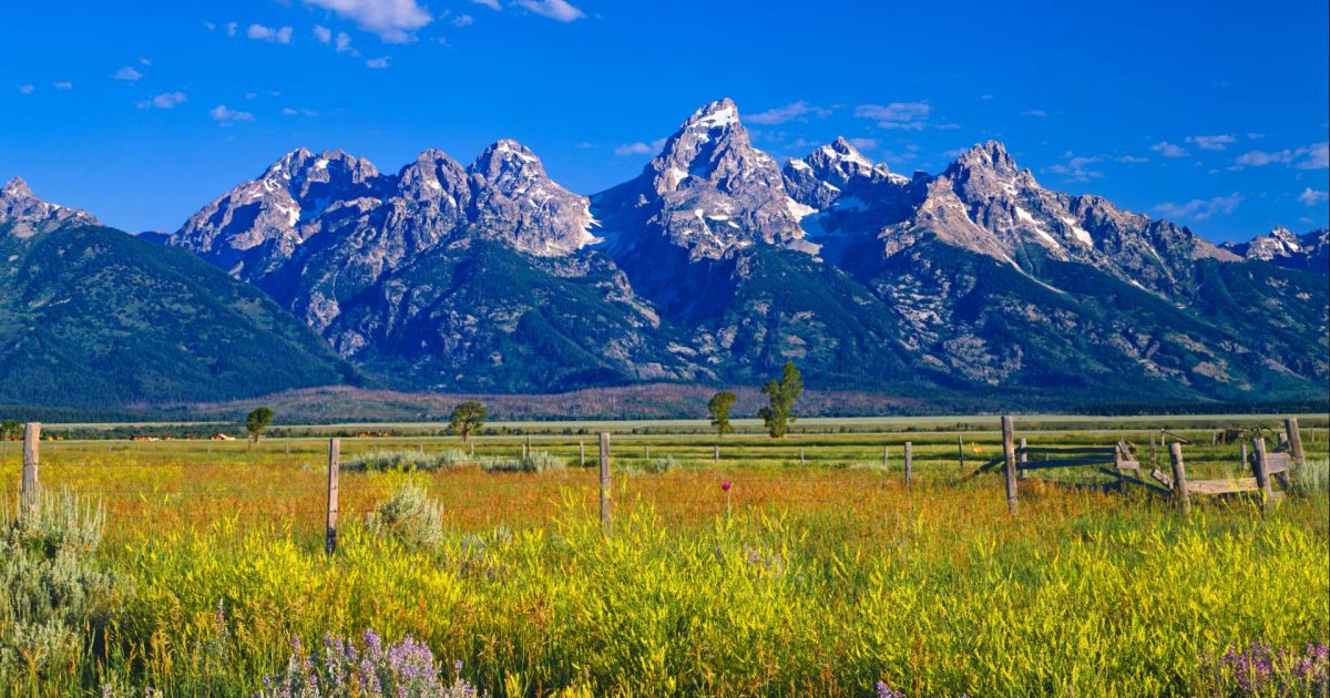 Hard Money Loans of Jackson Hole process and lending network